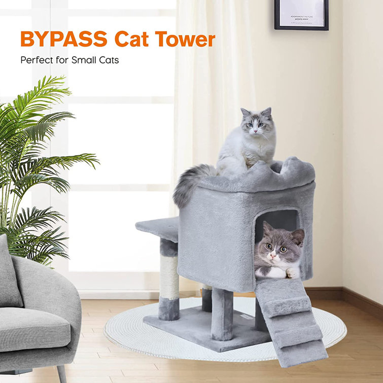 Short cat trees store for large cats